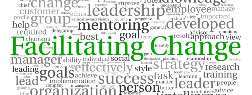 Facilitating Change word cloud